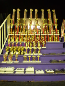 From the serious to the whimsical, an almost infinite variety of colours, styles, and ranges of trophies.